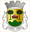 Guardão (Tondela)