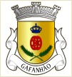 Gafanhão (Castro Daire)