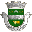 Jarmelo São Pedro (Guarda)