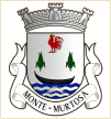 Monte (Murtosa)