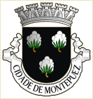 Concelho de Montepuez