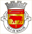 Circunscrição de Magude