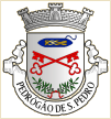 Pedrógão de São Pedro (Penamacor)