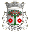 Pessegueiro (Pampilhosa da Serra)