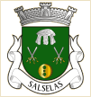Salselas (Macedo de Cavaleiros)