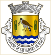 Salvaterra de Magos (freguesia)