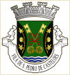 São Pedro de Castelões (Vale de Cambra)