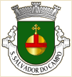 São Salvador do Campo (Santo Tirso)