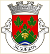 Silgueiros (Viseu)