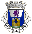 Concelho de Silva Porto