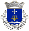 Várzea (São Pedro do Sul)